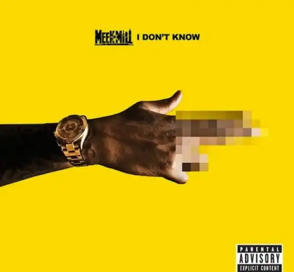 Dreams Worth More Than Money BY Meek Mill